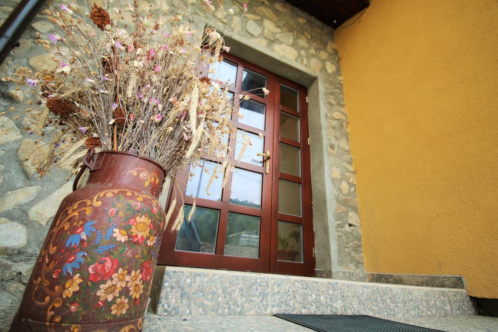 Mai Danube Hotel Ieşelniţa Buitenkant foto
